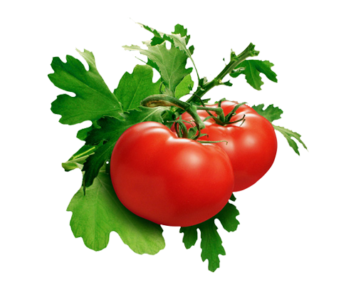 TOMATE